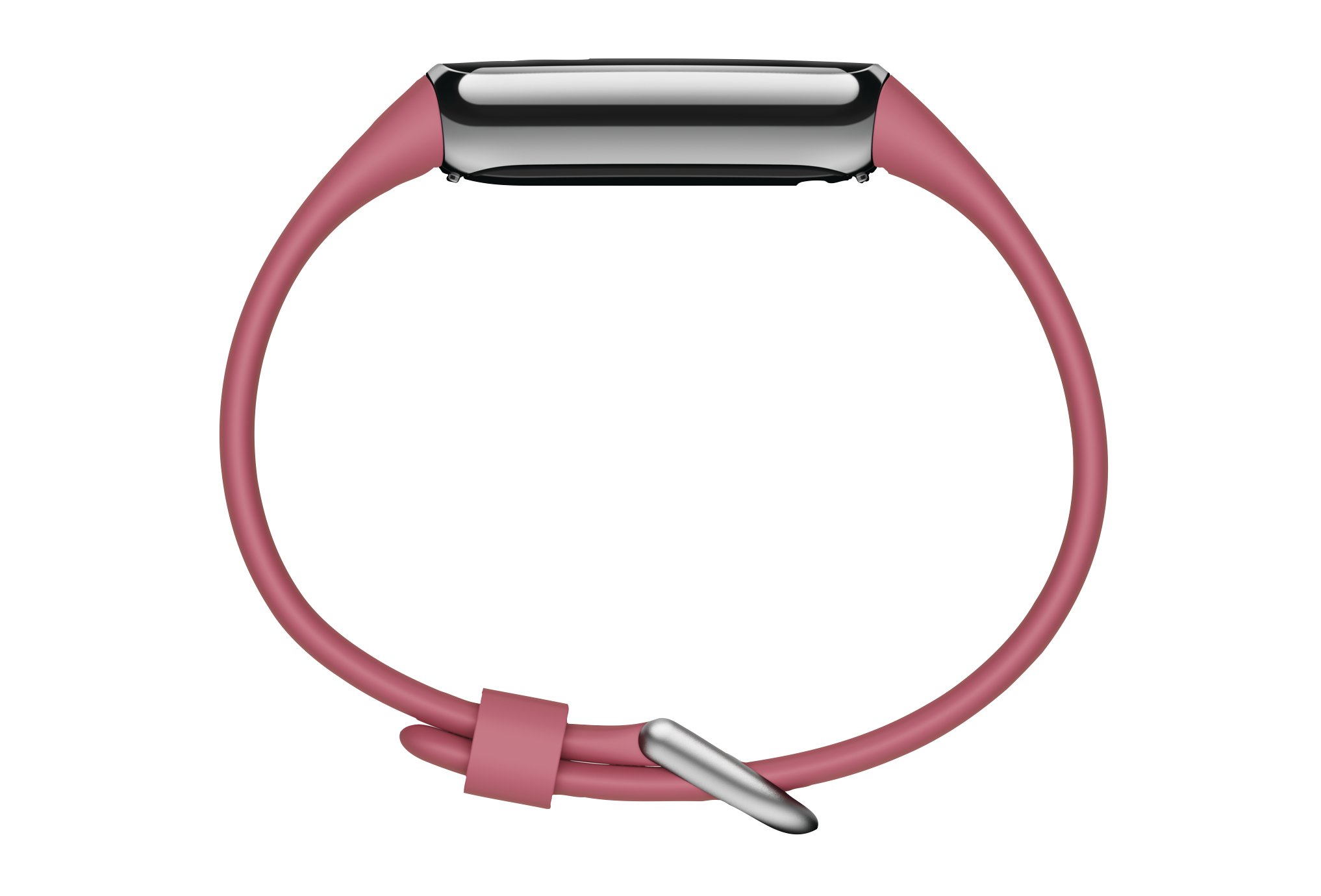Fitbit Fitbit Luxus