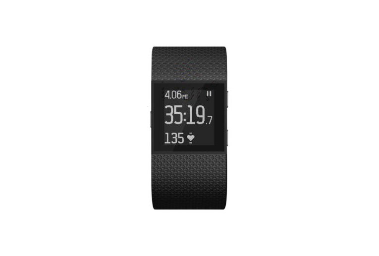Fitbit Surge - L 
