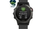 Garmin F�nix 5 Pack Performer HRM-Tri
