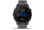 Garmin Forerunner 255