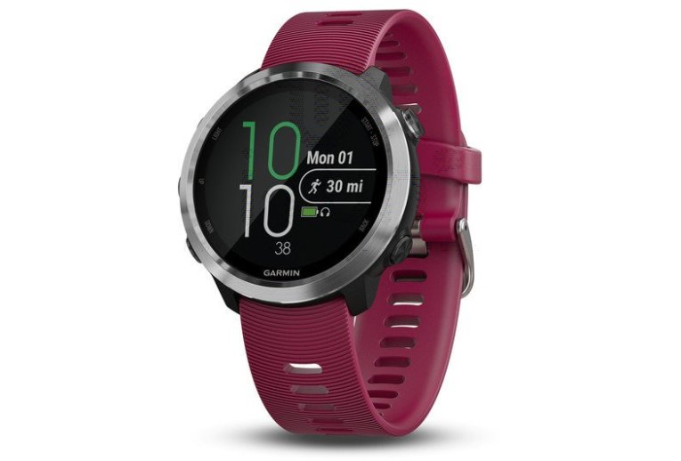 Garmin Forerunner 645 Music et bracelet 20 mm offert 