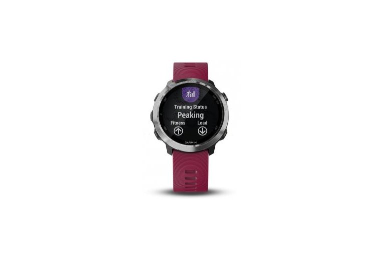 Garmin Pack Forerunner 645 Music + Bracelet 20 mm Noir offert 