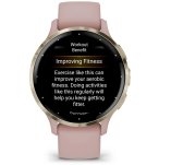 Garmin Venu 3S 3S - 41 mm