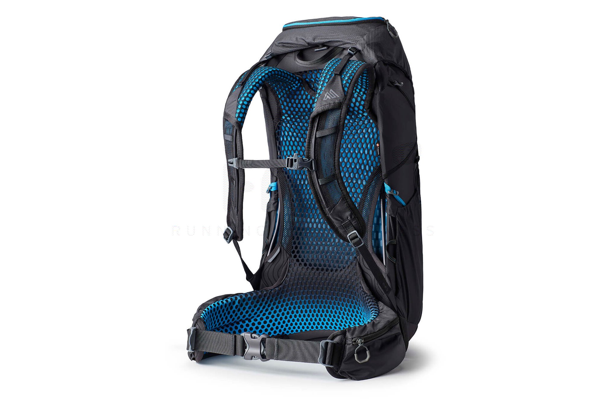 GREGORY Focal 38 M - L