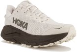 Hoka One One Challenger 8