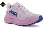 Hoka One One Challenger 8 Gore-Tex