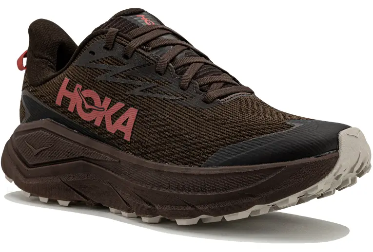 Challenger 8 Gore-Tex