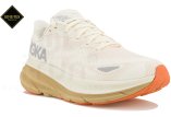 Hoka One One Clifton 9 Gore-Tex W