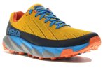 Hoka One One Torrent