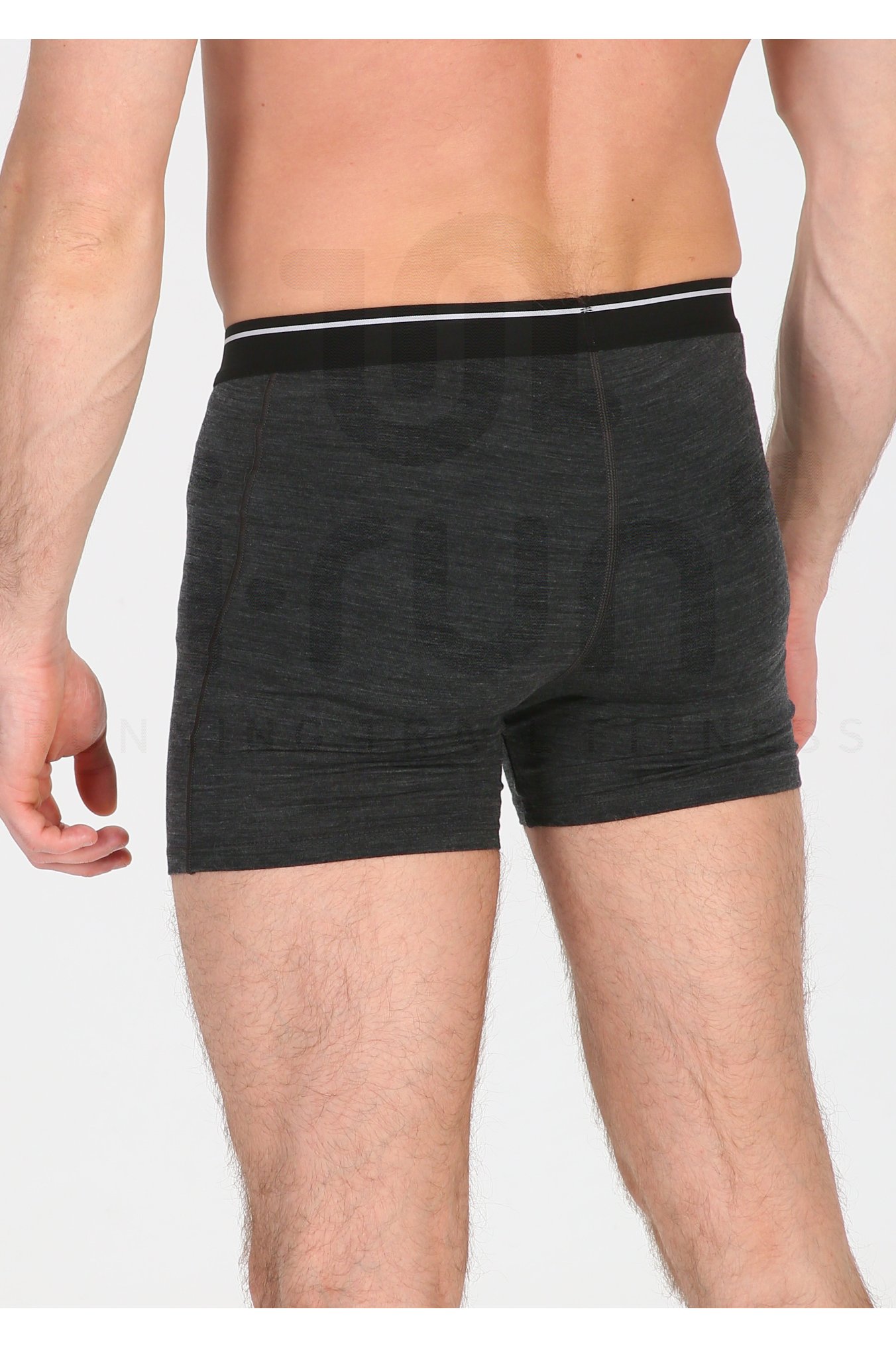 Icebreaker Anatomica M�rinos M 