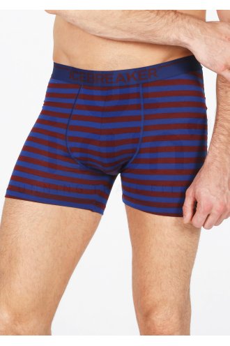 Icebreaker Anatomica M�rinos M 