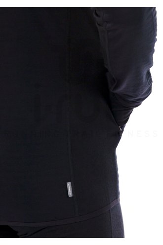 Icebreaker Realfleece Descender 