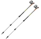 Leki bastones de marcha Traveller Alu