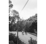 Maurten Test Collection