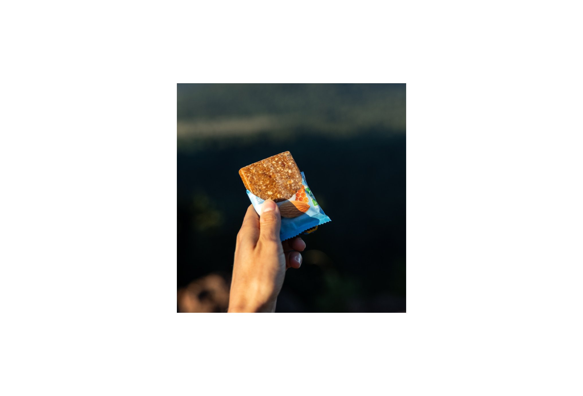 MelTonic Pur Bar Bio - Dattes Coco