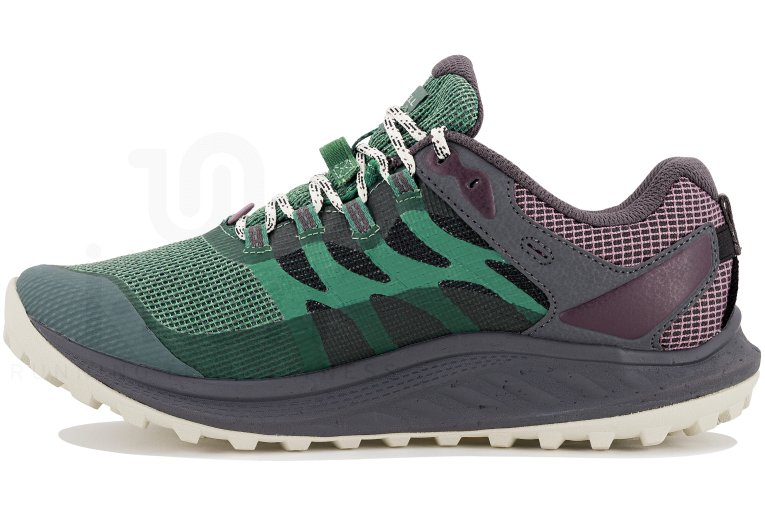 Merrell Antora 3 Gore-Tex W 