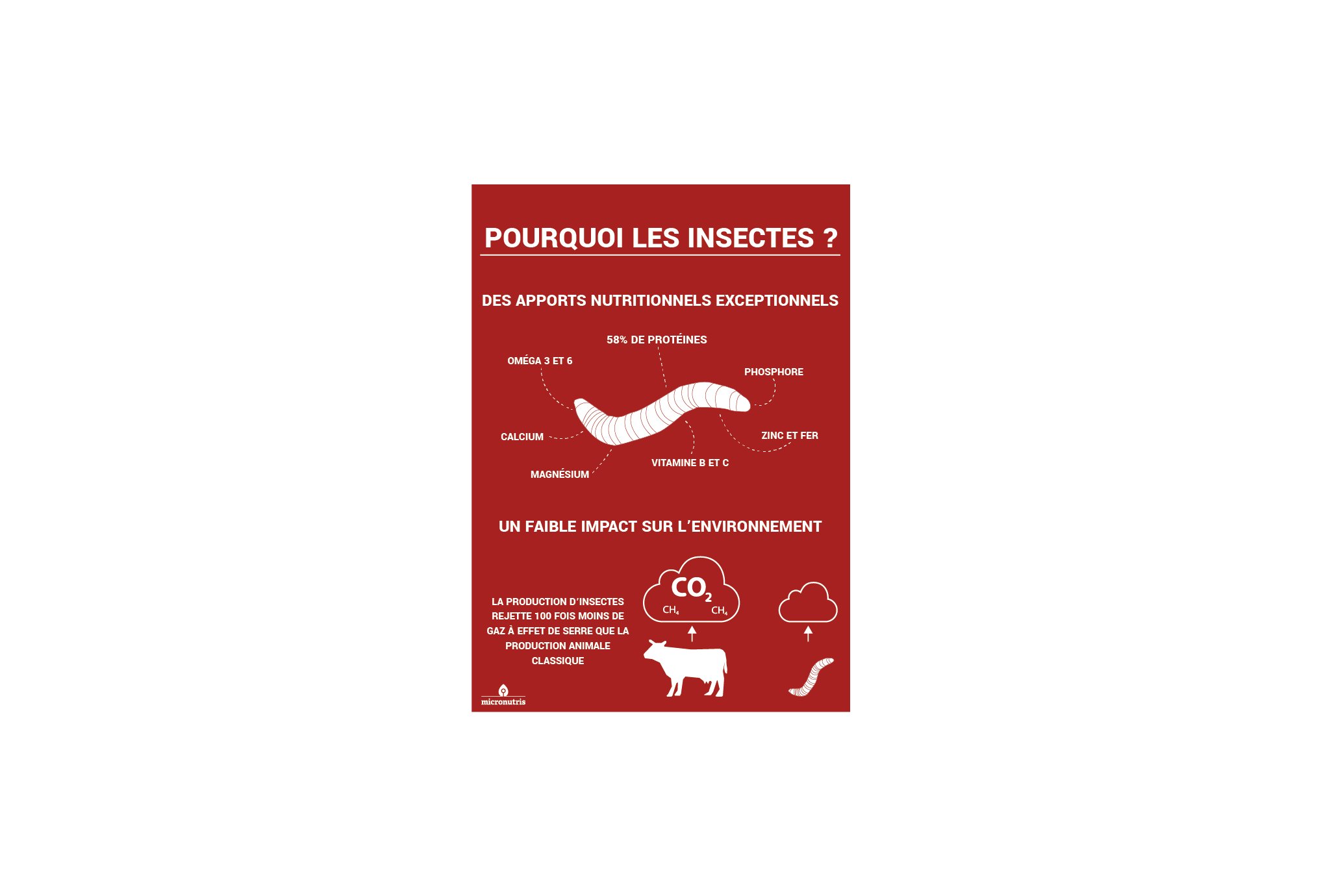 Micronutris - My Impact My Impact - Barre aux insectes / Fruits et Chocolat