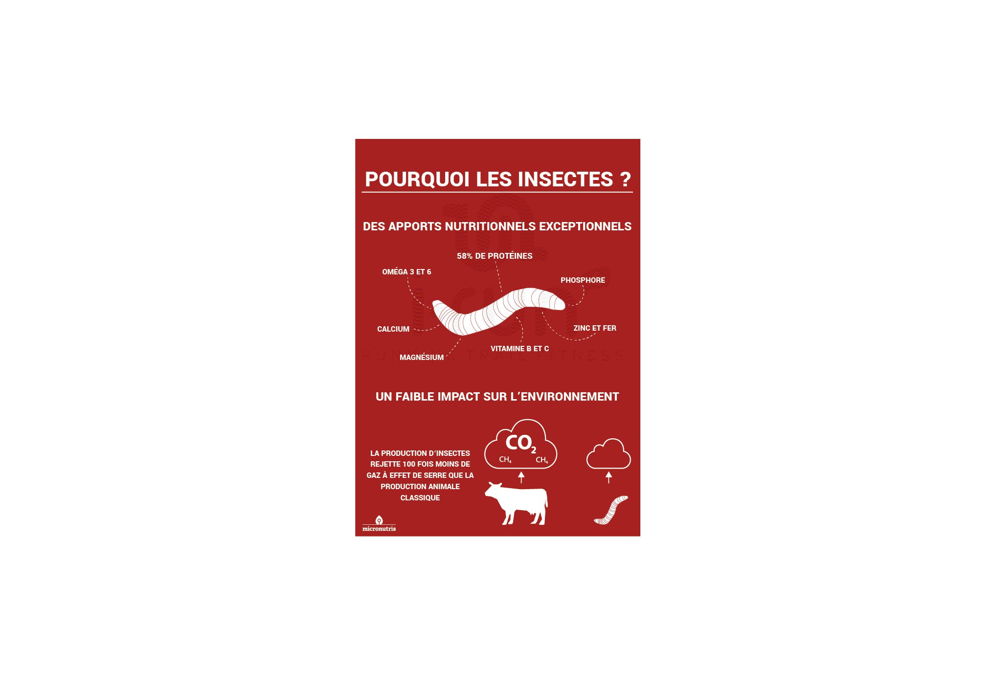 Micronutris - My Impact My Impact - Barre aux insectes / Quinoa et Cranberry