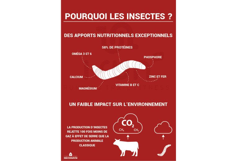 Micronutris - My Impact My Impact - Barre aux insectes / Quinoa et Cranberry 