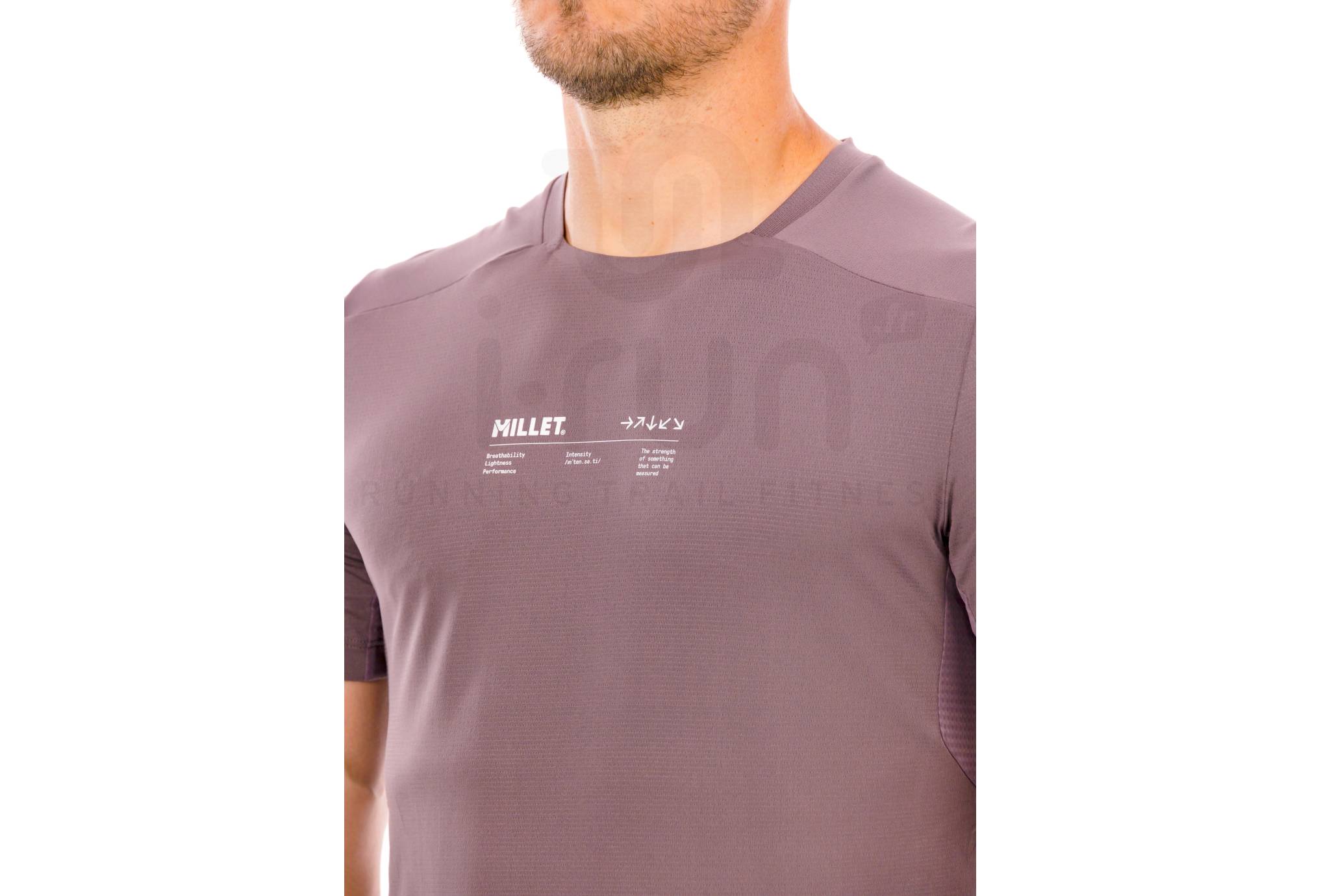 Millet Intense