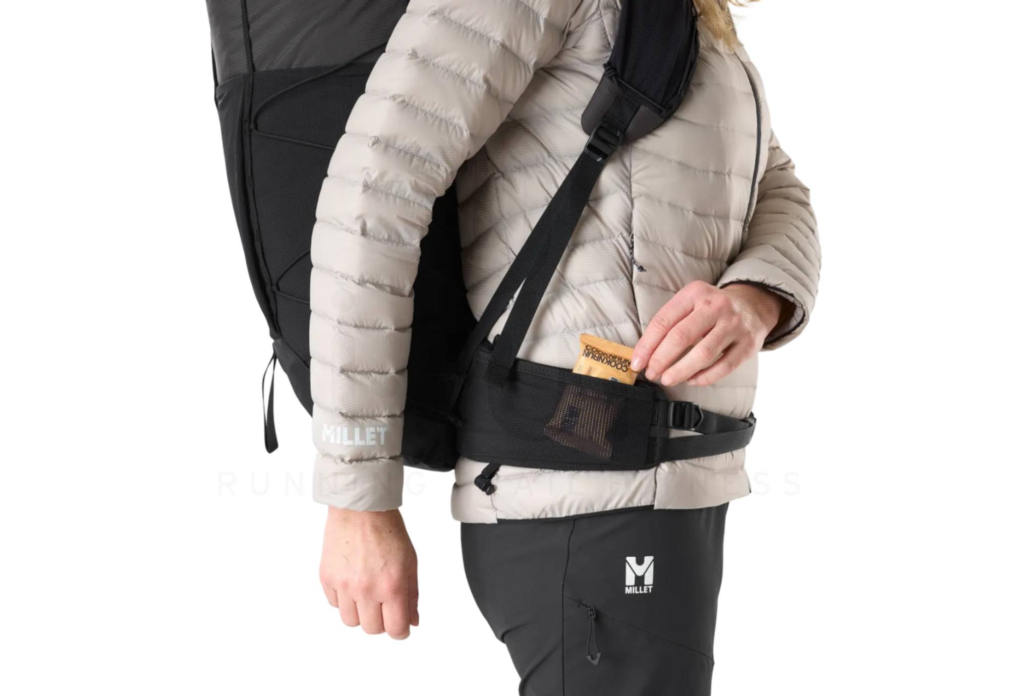 Millet Parmelan 35