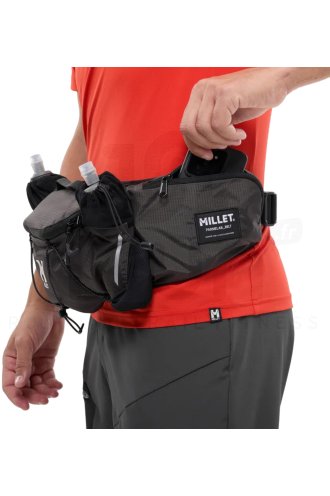 Millet Parmelan 