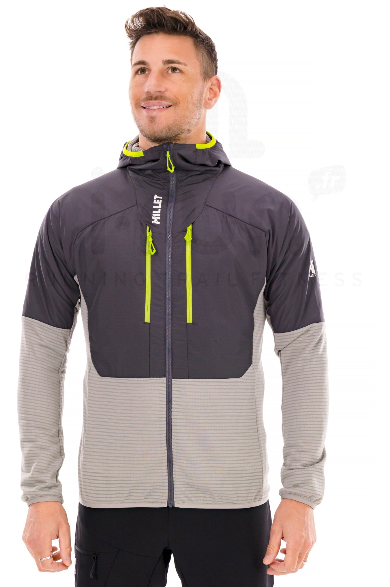 Millet Parmelan Hybrid