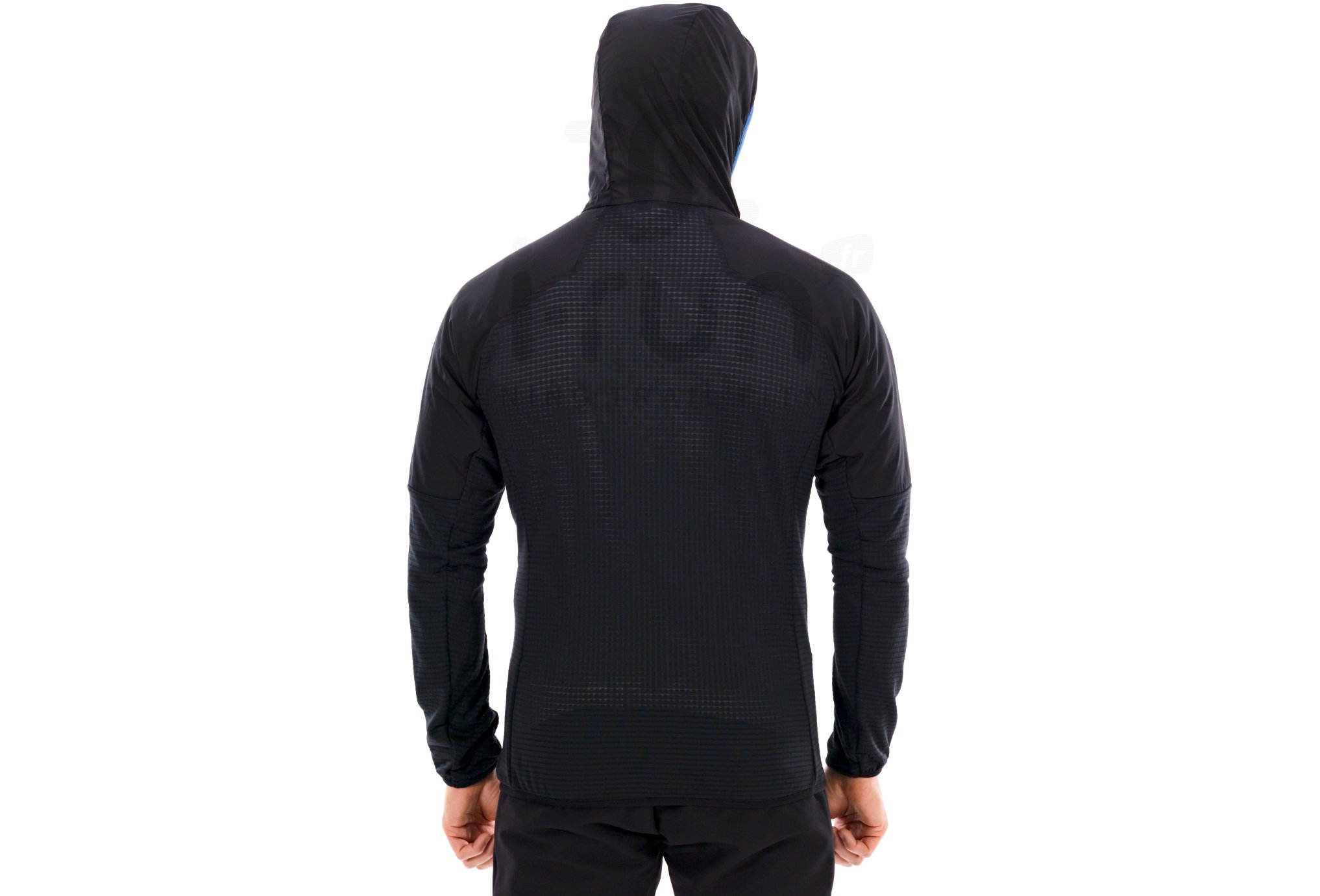 Millet Parmelan Hybrid