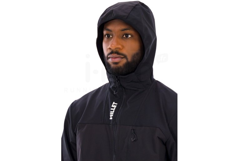 Millet Seneca Hybrid