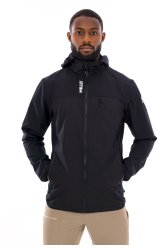 Millet Seneca Hybrid