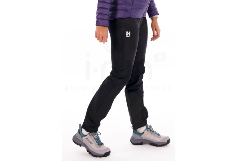 Millet Seneca Hydrid