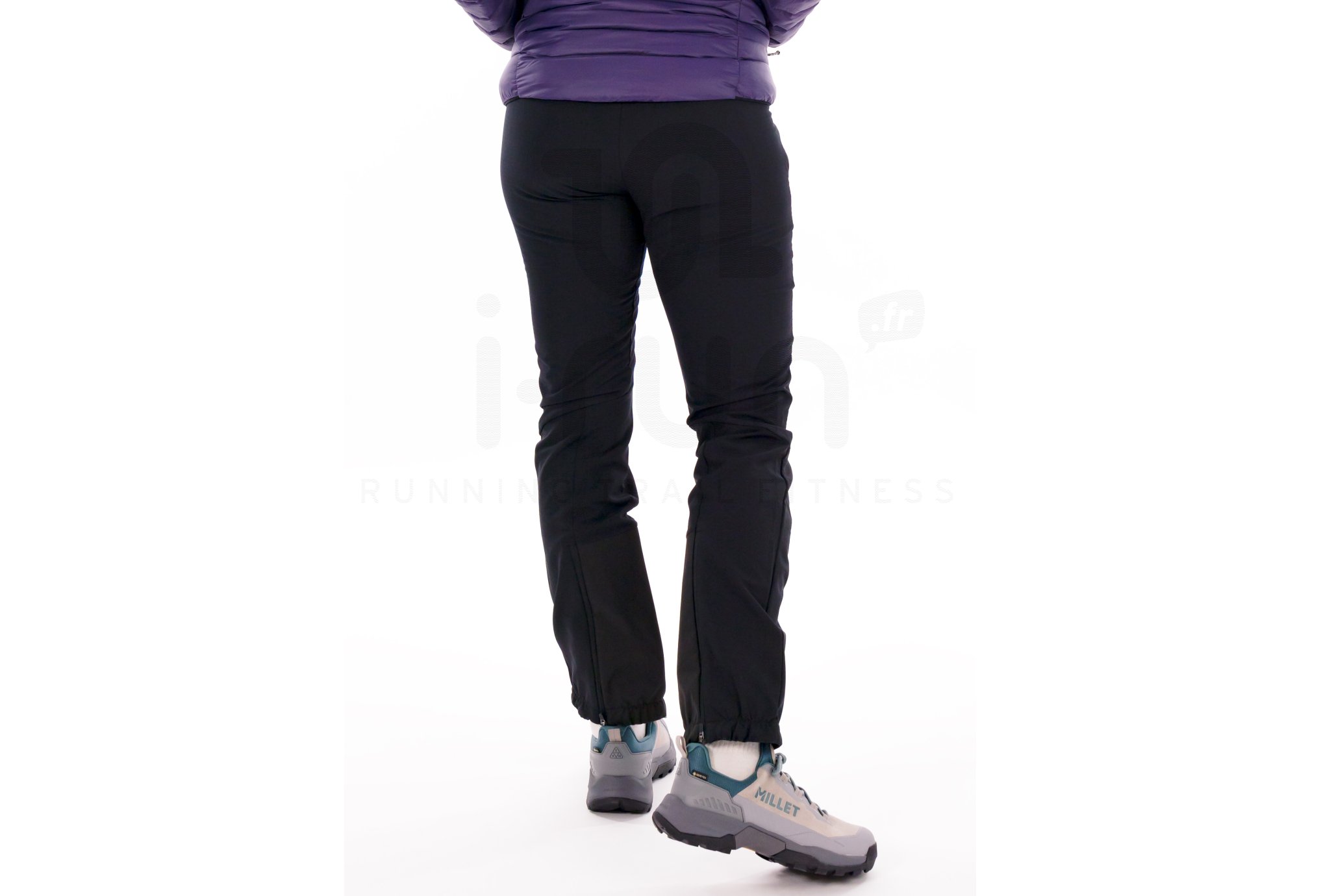 Millet Seneca Hydrid