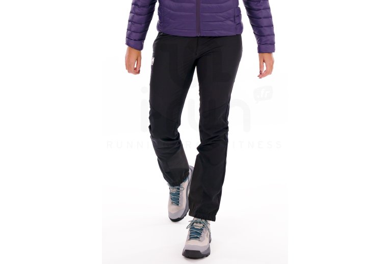 Millet Seneca Hydrid