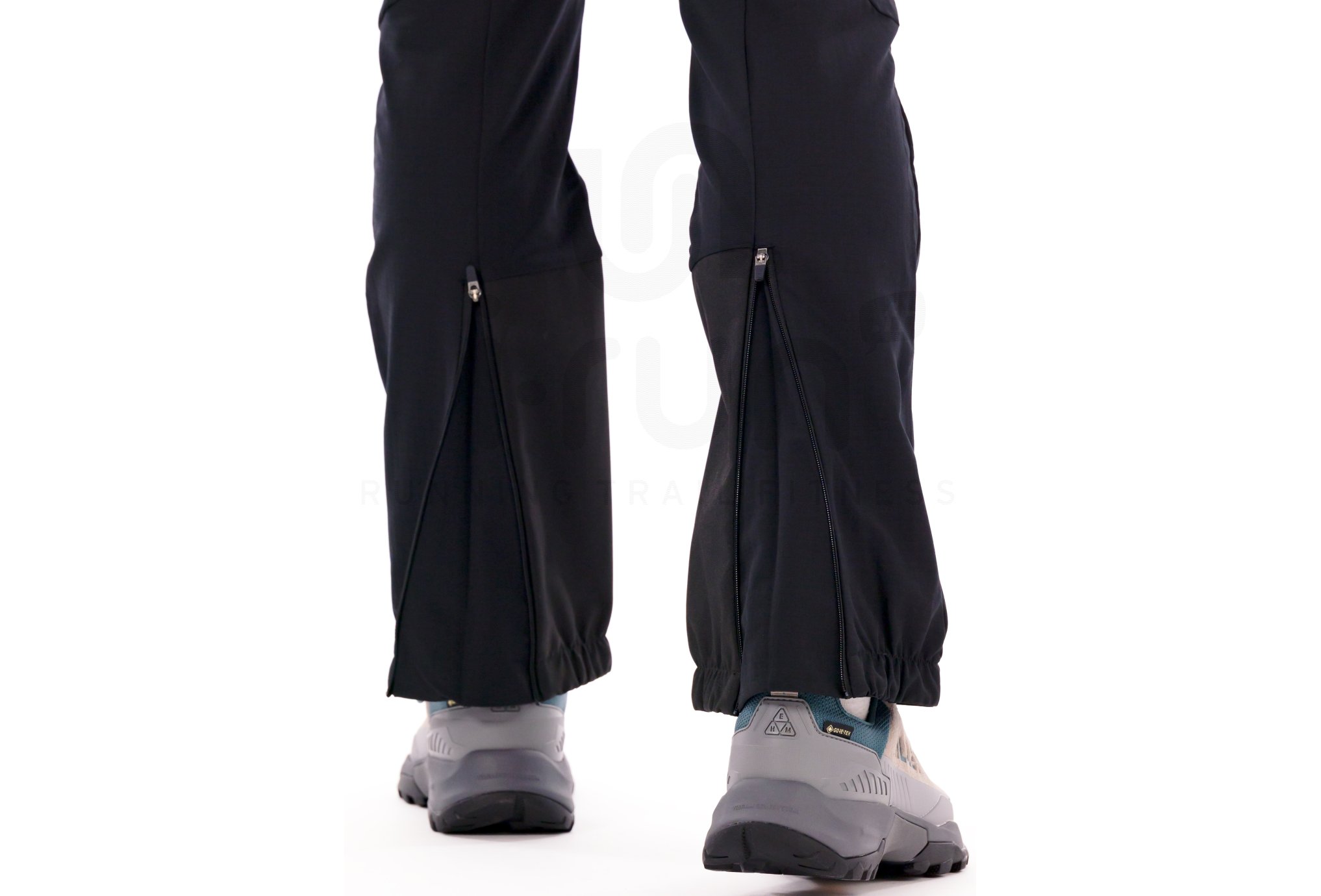 Millet Seneca Hydrid