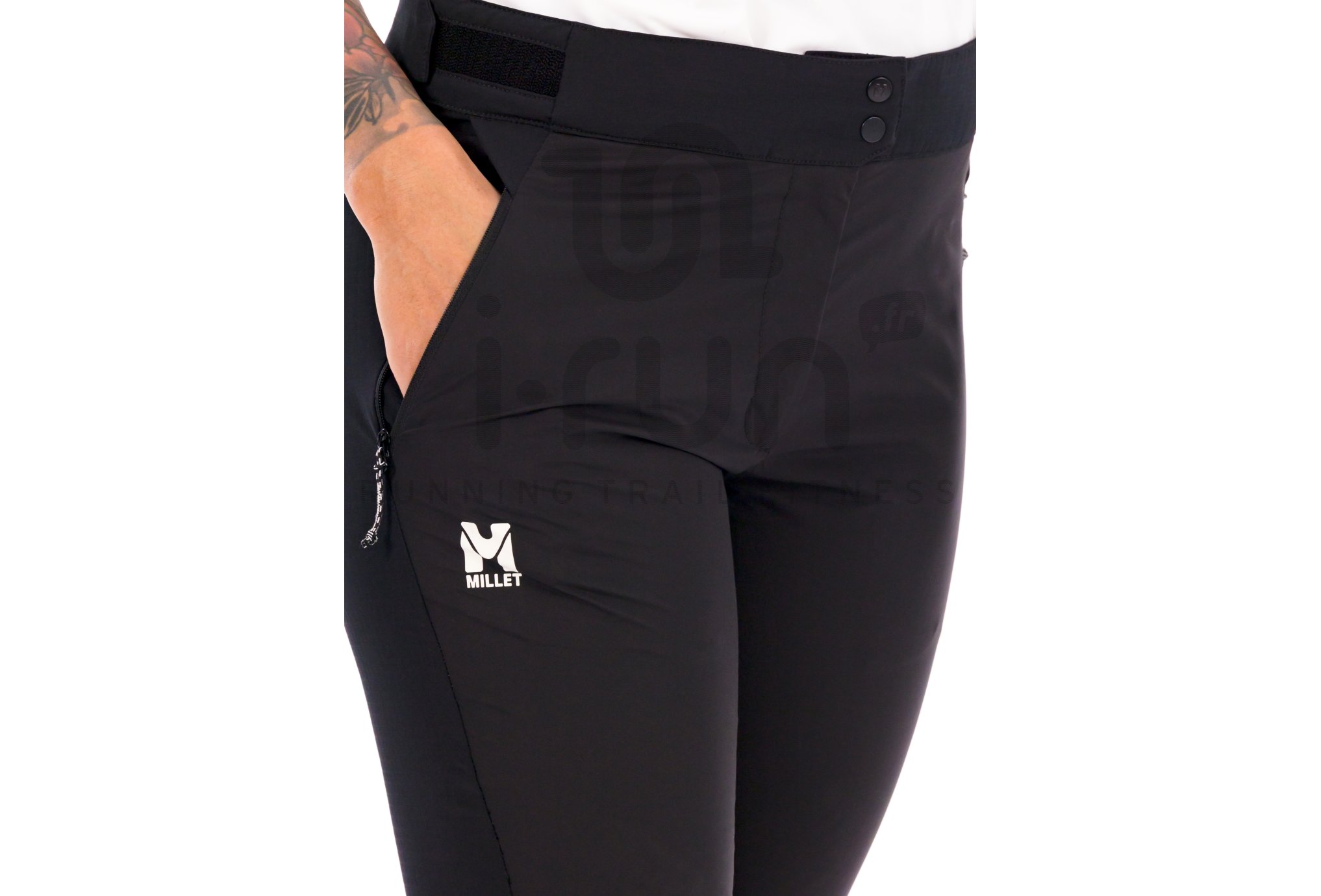 Millet Seneca Hydrid