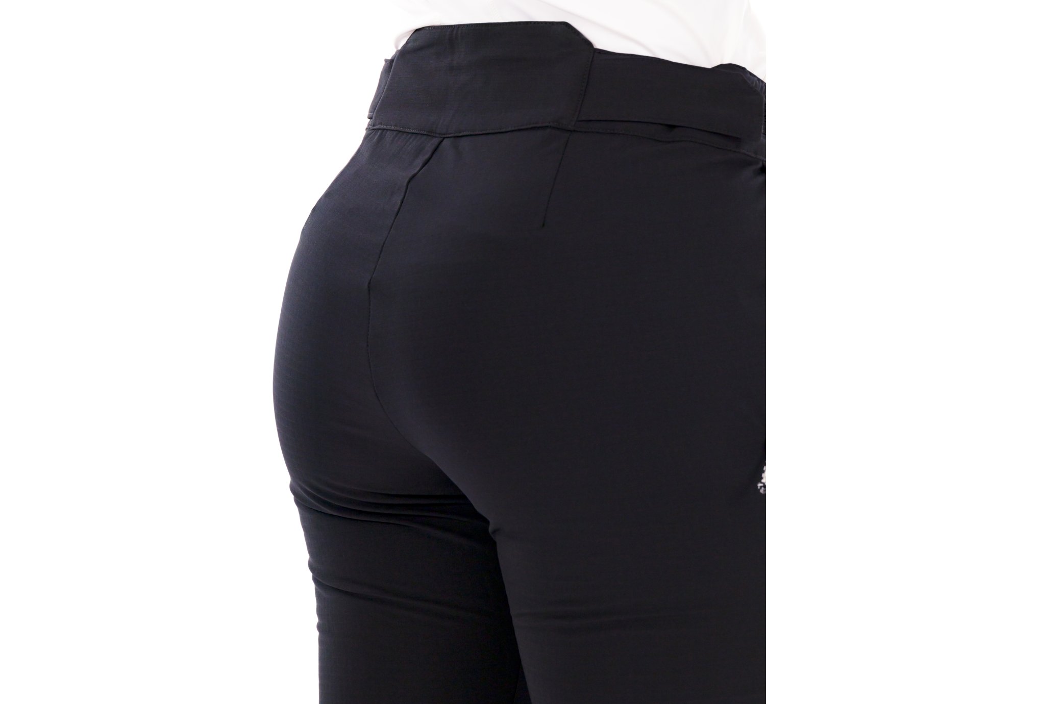 Millet Seneca Hydrid