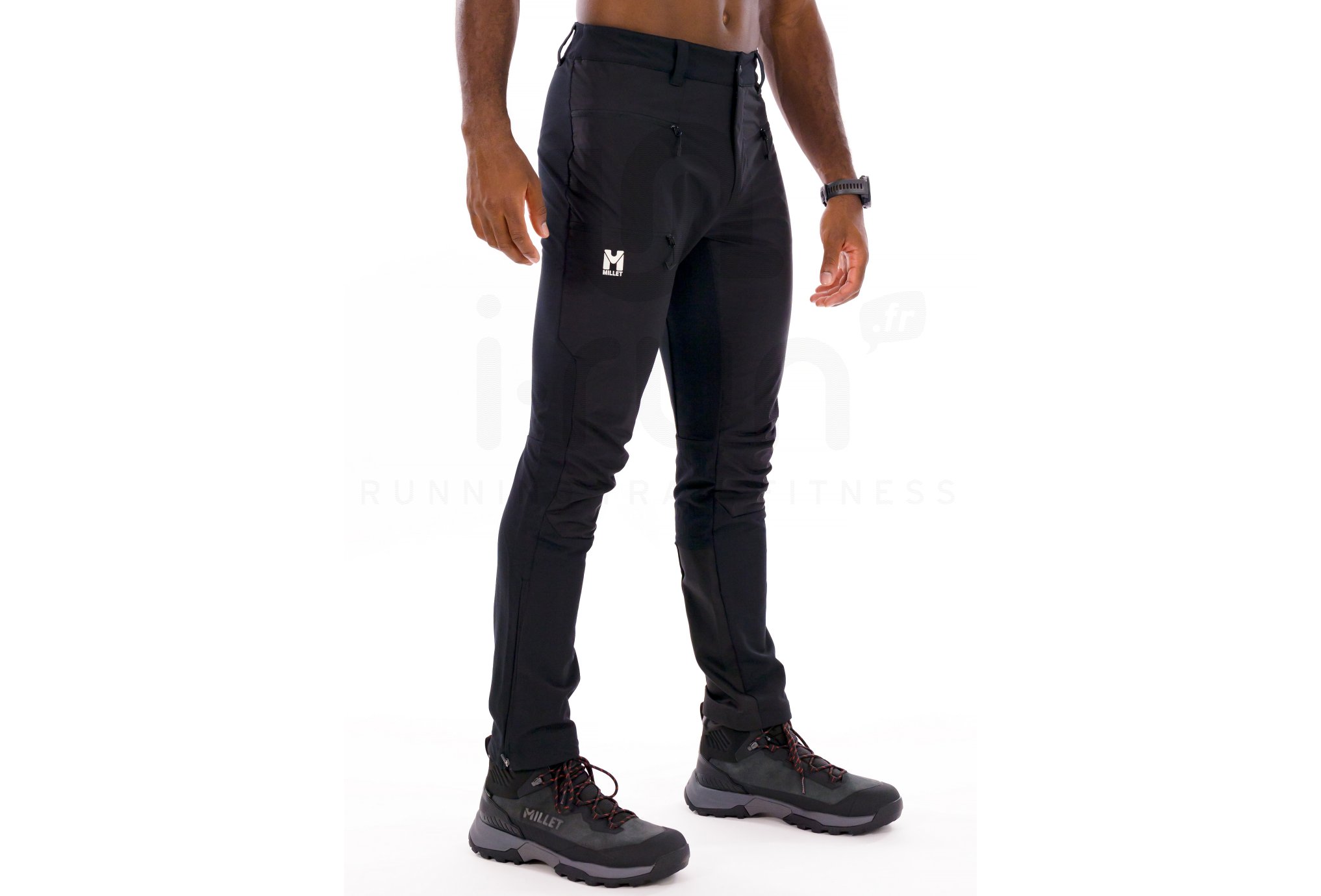 Millet Seneca Hydrid