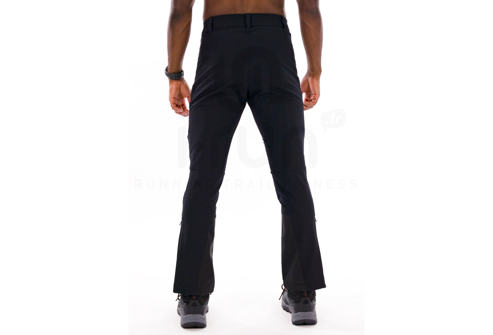 Millet Seneca Hydrid