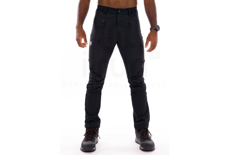 Millet Seneca Hydrid