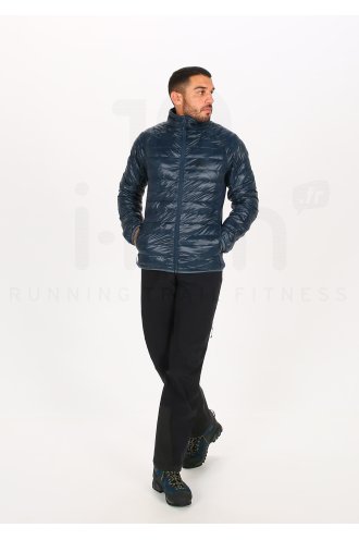 Millet Tilicho M 