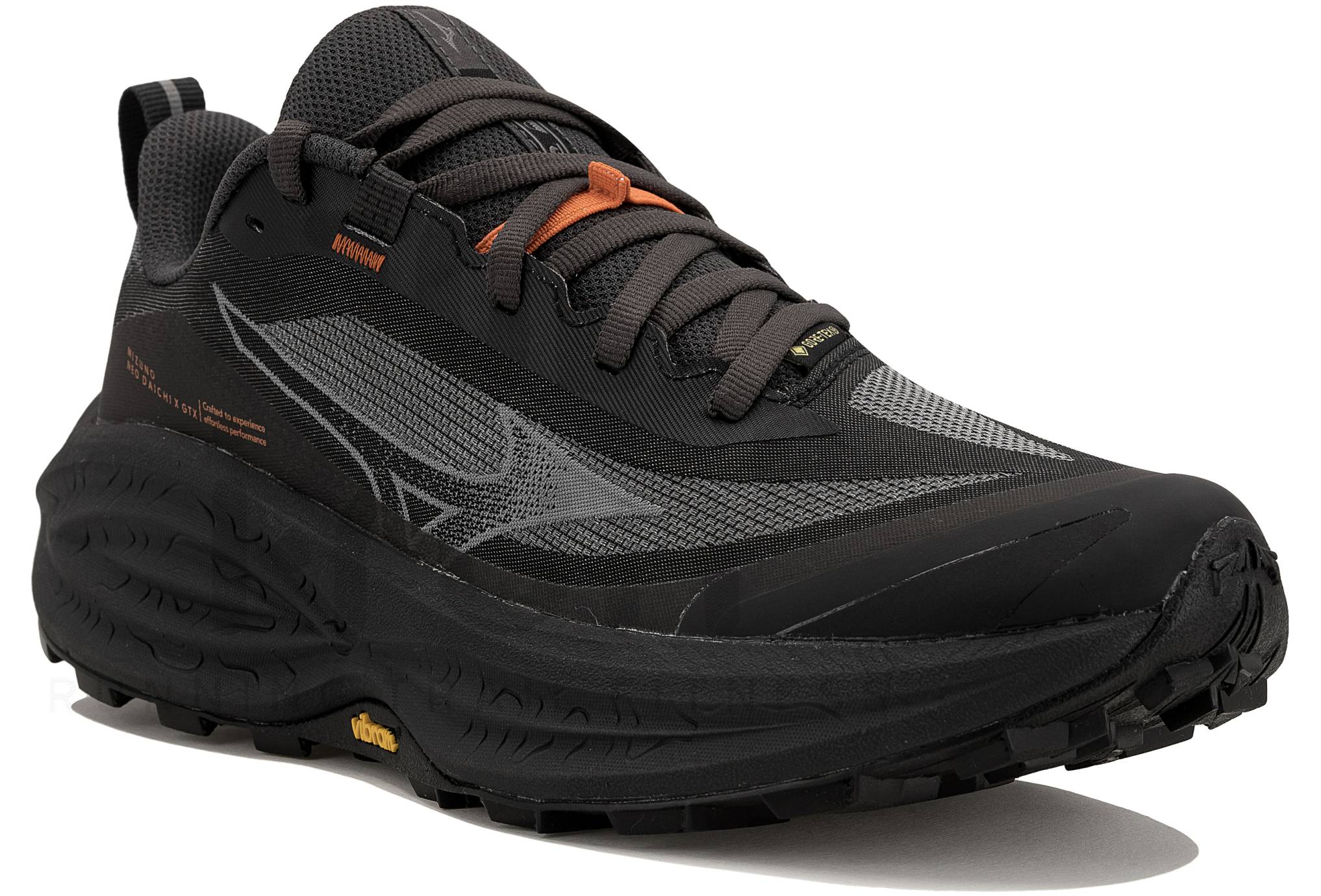 Mizuno Neo Daichi 10 Gore-Tex