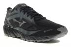 Mizuno Wave Ibuki 2 Gore-Tex