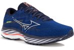 Mizuno Wave Rider 27