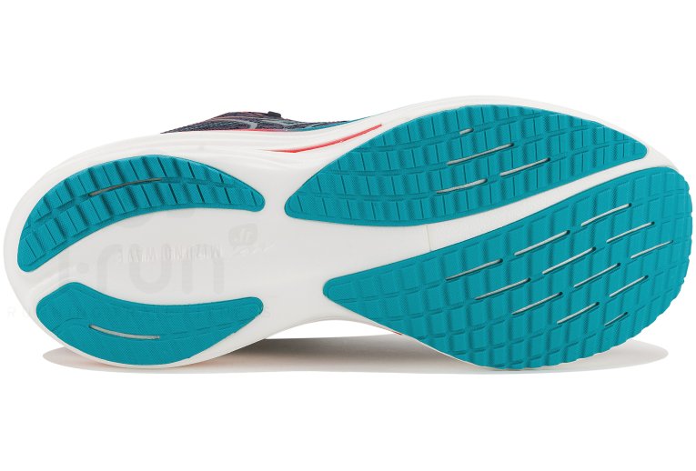 Mizuno Wave Rider 29
