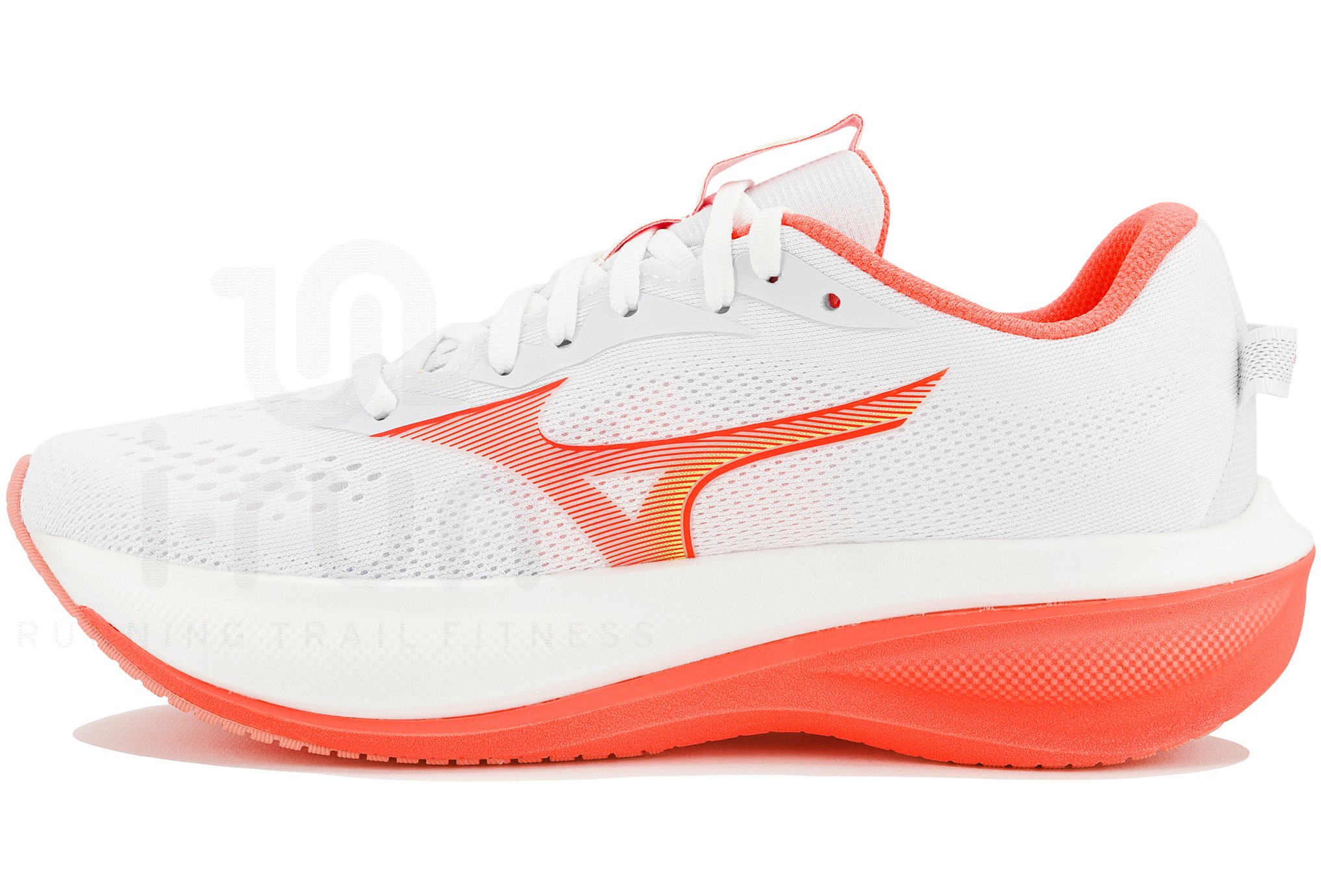 Mizuno Wave Rider 30