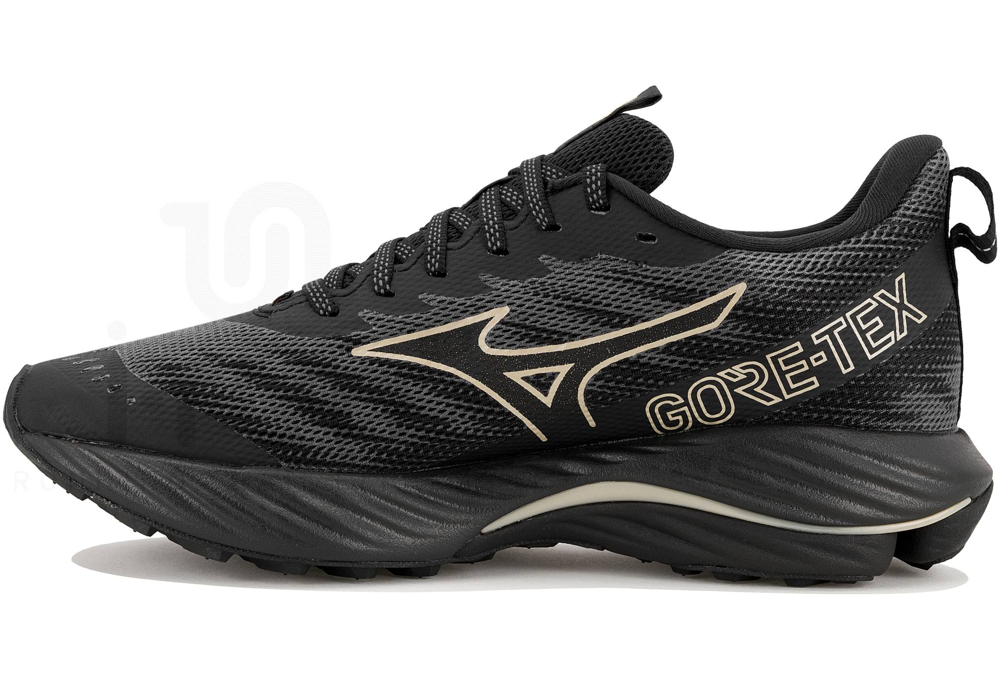 Mizuno Wave Rider Gore-Tex 2 Damen