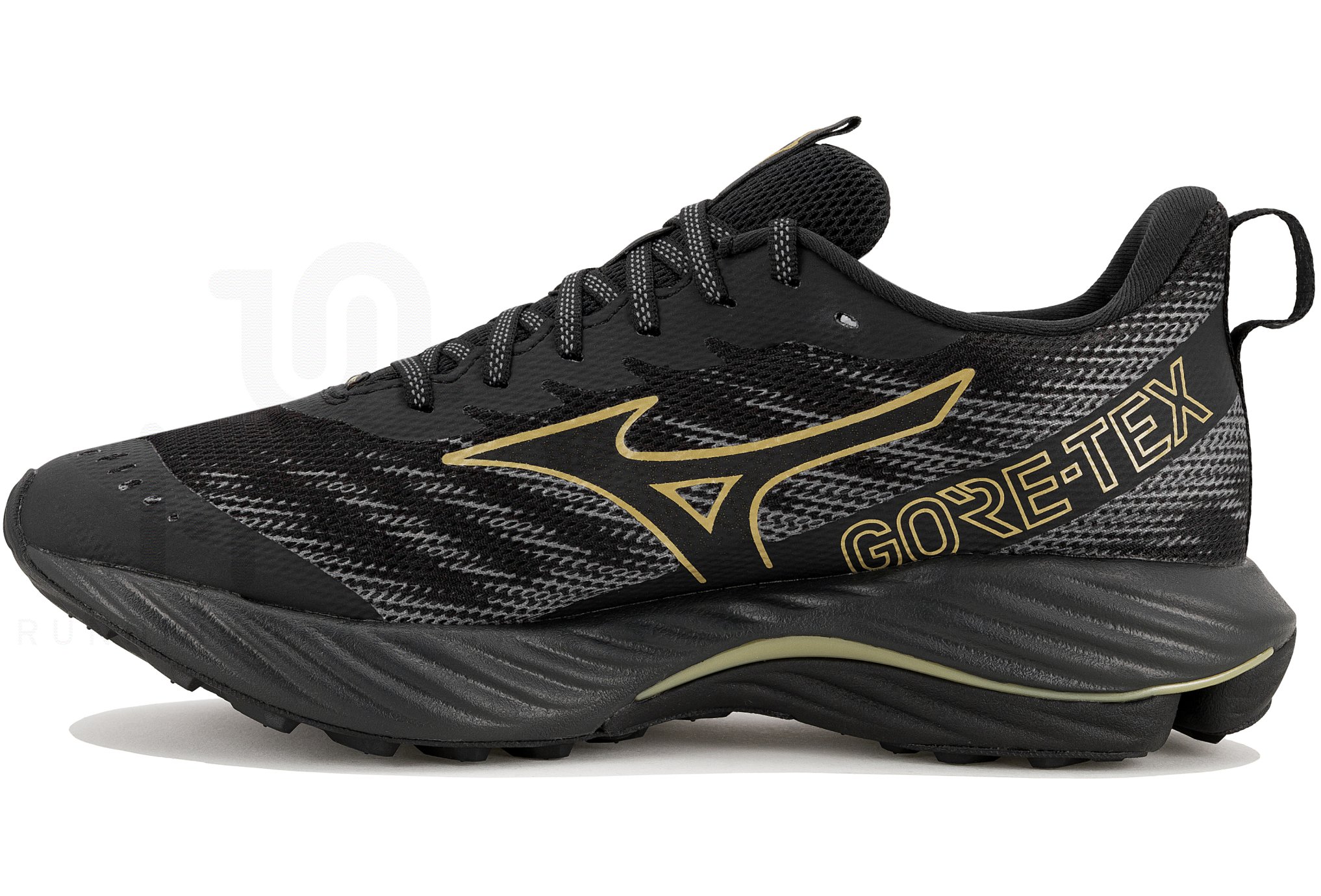 Mizuno Wave Rider Gore-Tex 2