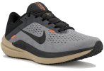 Nike Air Winflo 10