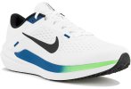 Nike Air Winflo 10 Herren