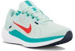 Nike Air Winflo 10